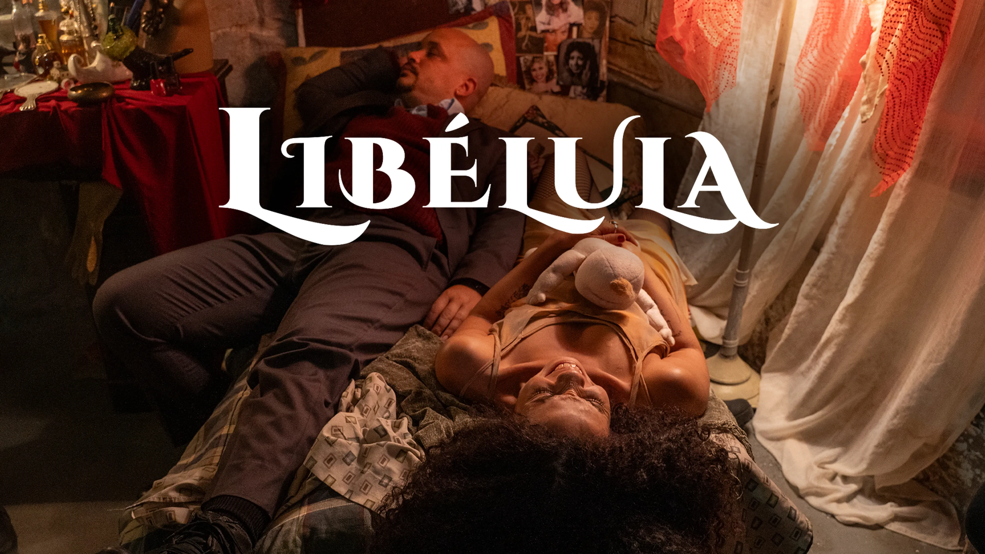 Libélula poster